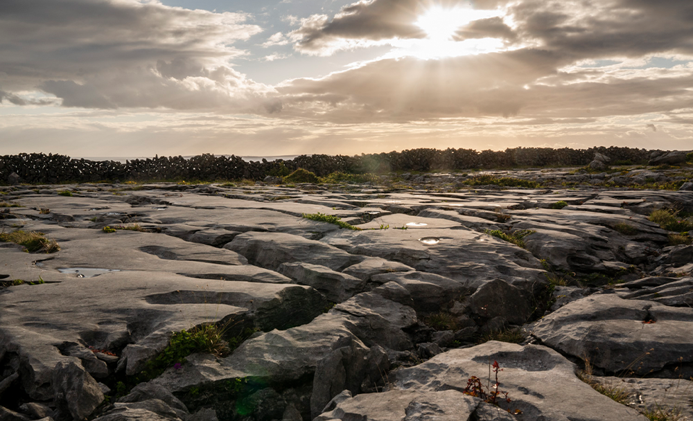 WP Engine Agency Partner Granite Digital delivers a high-performance, multilingual eCommerce experience for Ireland’s most beloved purveyor of smoked salmon.